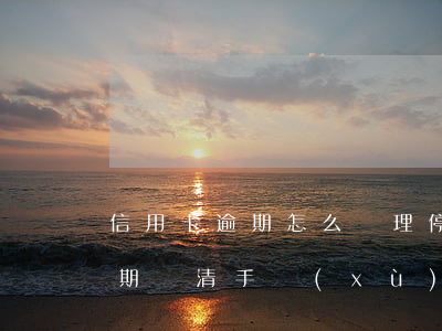 信用卡逾期怎么辦理停息還款？60期還清手續(xù)全攻略！